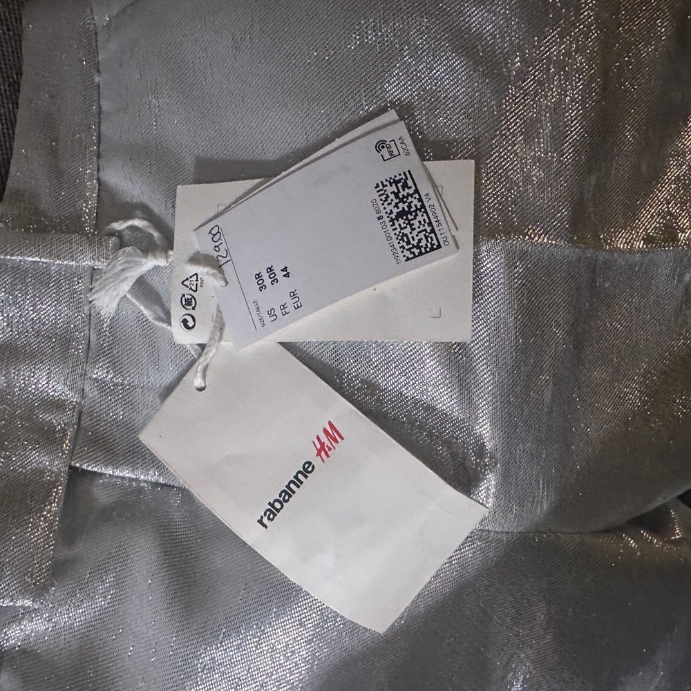 H & M Paco Rabanne Pants Silver